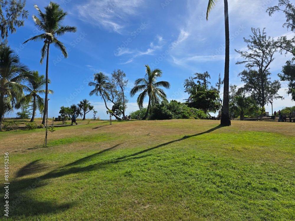 Obraz premium Palmier