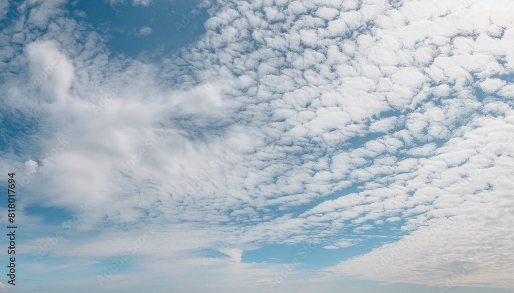Fototapeta premium 青空 白い雲 晴天 自然 爽やか 自由 希望 穏やか 広がり 無限 背景 