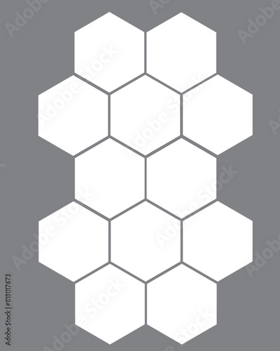 12 photo collage template. vector illustration, new collections