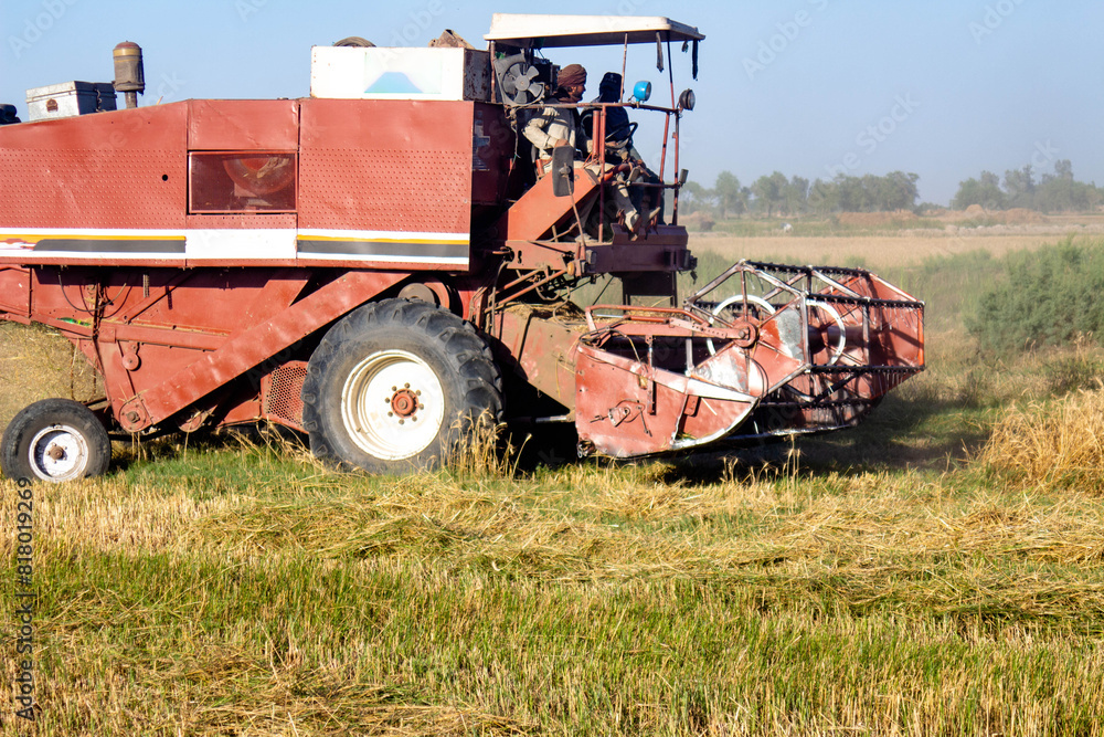 a wheat cutting machine swiftly harvesting a field of wheat a wheat cutting machine swiftly harvesting a field of wheat