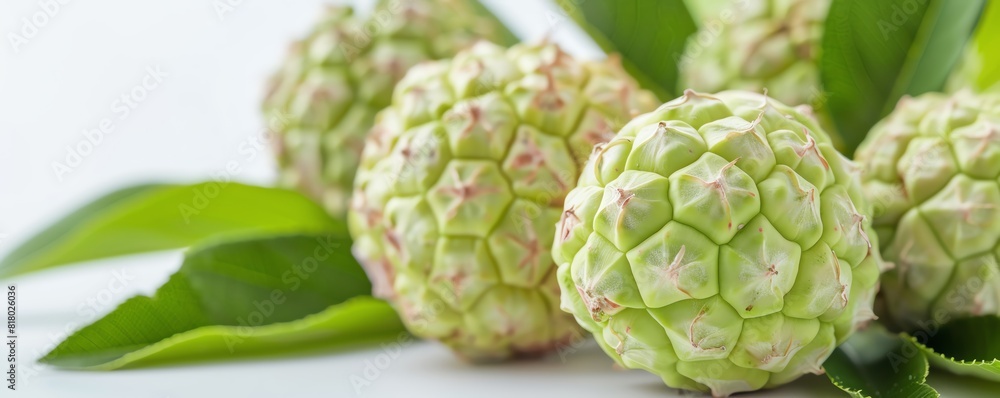 Fototapeta premium apple on isotate white back background