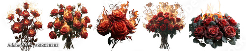 Collection of Red rose flowers bouquet burning with fire flames on white background,