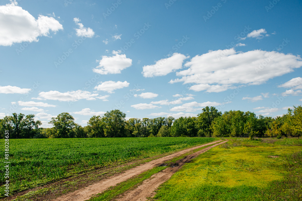a country road in a field of green grass at sunset a country road in a field of green grass at sunset