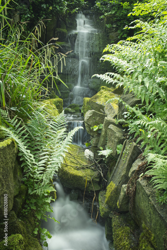 Calm serene waterfall flows into pools as it makes it way down through moss covered rocks. Ferns and lush grasses flank the sides of this peaceful scene