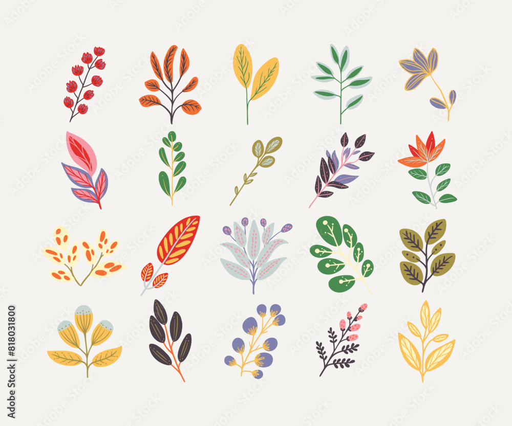 Obraz premium Colorful Hand-Drawn Botanical Elements Stock Vector