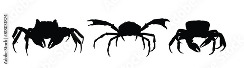 The set silhouettes of sea crabs.