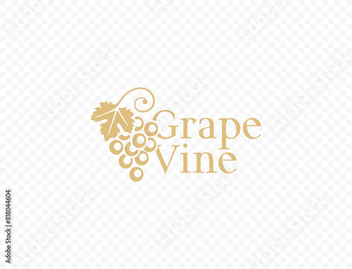 Grapevine with grape leaf vector logo design. Hanging grapes graphic design