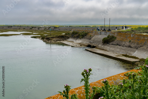 La Réserve naturelle nationale de Lilleau des Niges, Ile de Ré photo