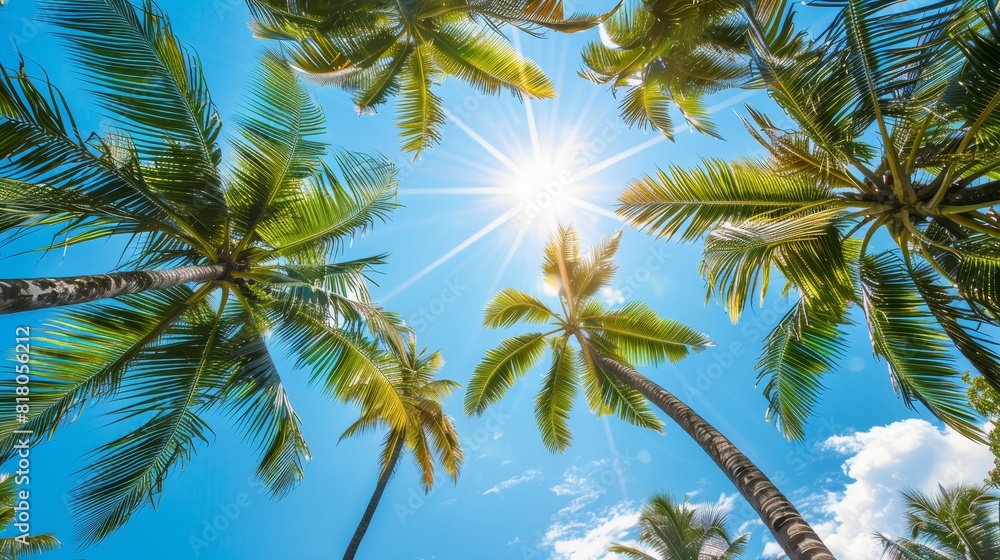 Bottom view of a coconut tree canopy framing a vibrant blue sky, sun rays piercing through leaves, tropical paradise vibes Bottom view of a coconut tree canopy framing a vibrant blue sky, sun rays piercing through leaves, tropical paradise vibes