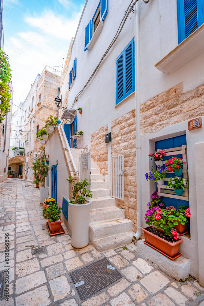 Fototapeta premium Cityscape of Polignano a Mare town, Puglia region, Italy, Europe. Seascape of Adriatic sea