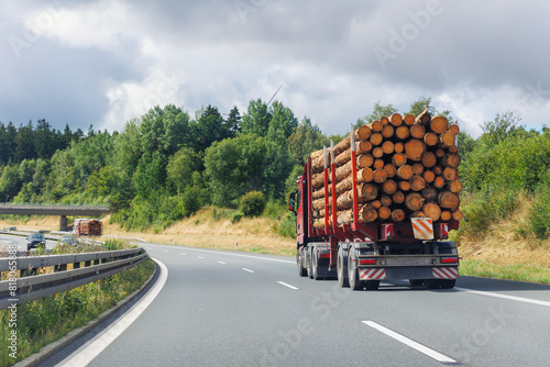 Back view many long heavy industrial wood carrier cargo vessel truck trailer with big timber pine, spruce, cedar driving on highway road with blue sky background. Timber export and shipping concept