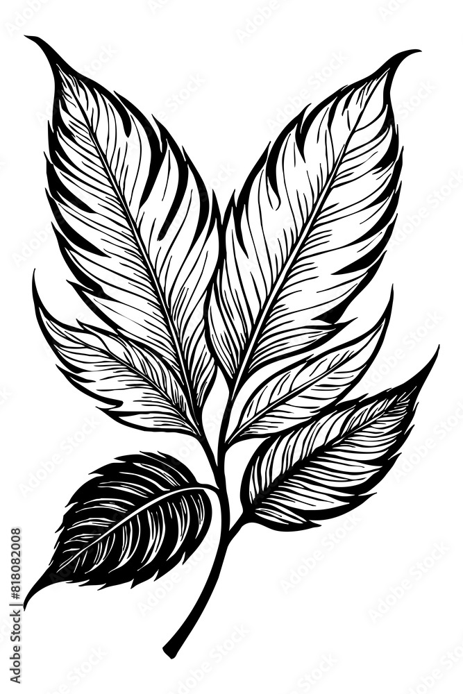 Leaves . Black and white botanical pattern. For use in graphics, materials. Abstract plant shapes. Minimalist illustration for printing on wall decorations. Generated by Ai Leaves . Black and white botanical pattern. For use in graphics, materials. Abstract plant shapes. Minimalist illustration for printing on wall decorations. Generated by Ai