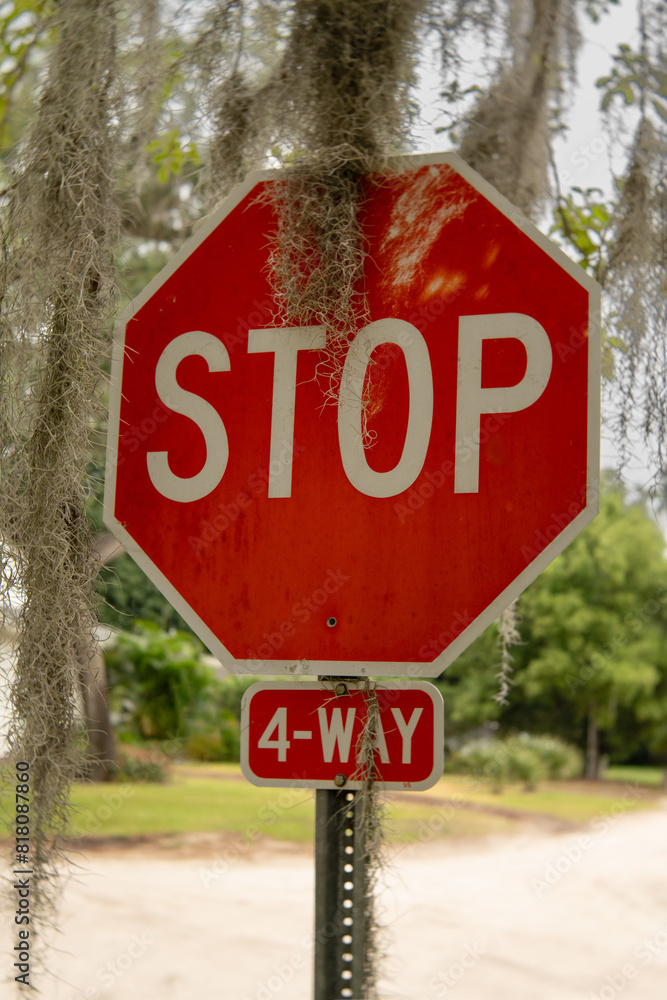 Close-up Stop 4-way stop sign covered in Spanish moss, greenery background, verticle