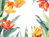 Watercolor tulips on a white background