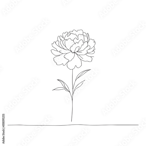  peony in one line art drawing style. Vector illustration