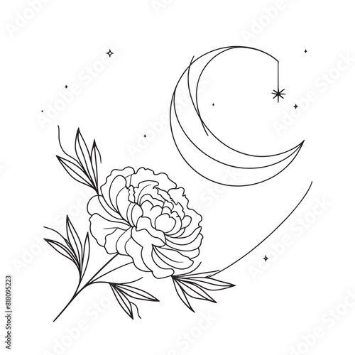 peonies in one line on a white background. botanist flowers. flora aesthetic flowers in one line