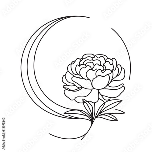 peonies in one line on a white background. botanist flowers. flora aesthetic flowers in one line