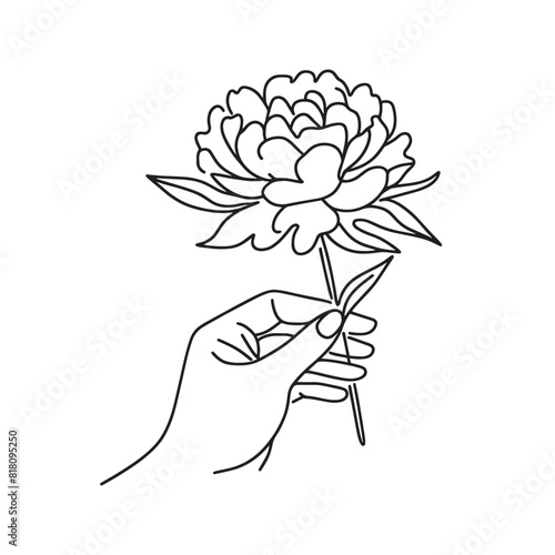 peonies in one line on a white background. botanist flowers. flora aesthetic flowers in one line