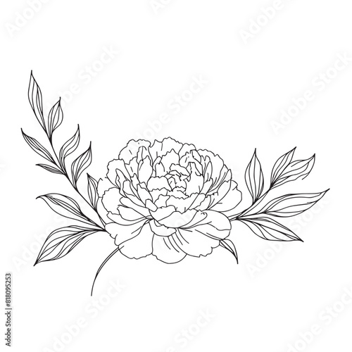  peony in one line art drawing style. Vector illustration
