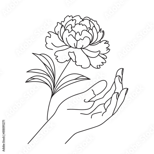 peonies in one line on a white background. botanist flowers. flora aesthetic flowers in one line