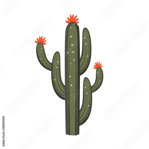 Cactus vector art, cactus tree flower vector isolated
