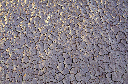 Cracked Earth Detail photo