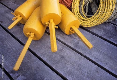 Buoys And Ropes photo