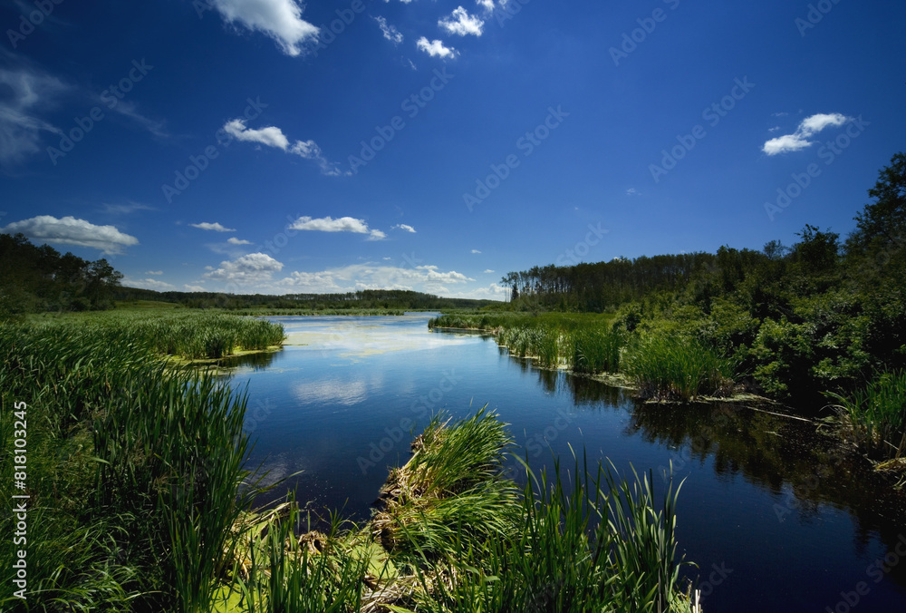 River Scenic River Scenic