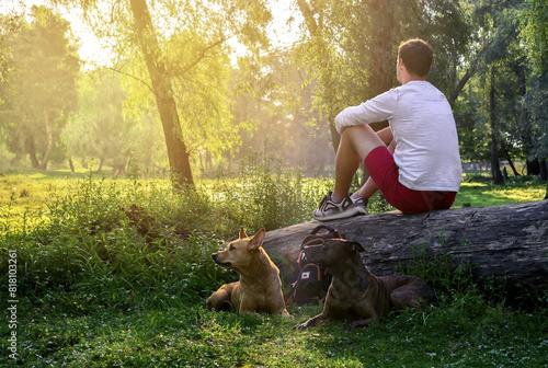 rest in the forest with dogs