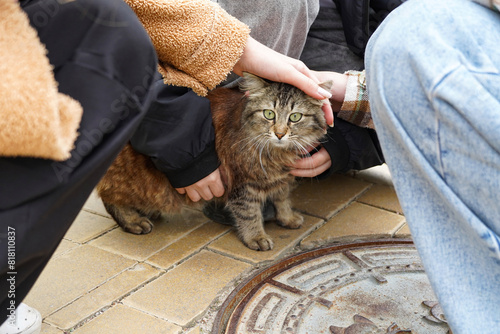 Teenagers caressing a cute homless kitten in the street