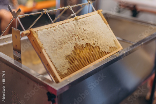  Using beekeeping tools for opening wax cells full of ready product.