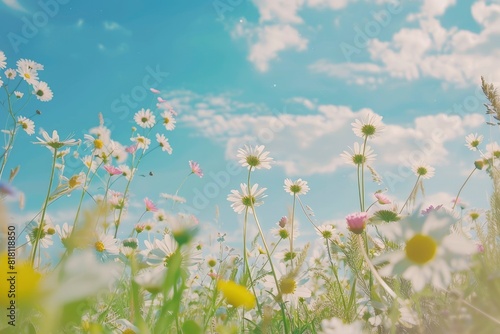 A beautiful, sun-drenched spring summer meadow. Natural colorful panoramic landscape with many wild flowers of daisies against blue sky. A frame with soft selective focus with generative ai © MUdaylah