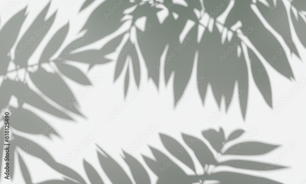 grass background grass background