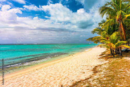 Tropical beach scenery  vacation in paradise island Mauritius. Dream exotic island  tropical paradise. Best beaches of Mauritius island  luxury resorts of Mauritius  Indian Ocean  Africa.