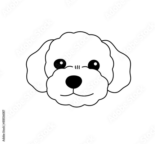 Vector isolated cute dog curly malipoo poodle head portrait muzzle colorless black and white contour line easy drawing