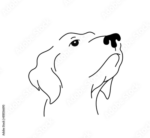 Vector isolated labrador dog head look up portrait  colorless black and white contour line easy drawing