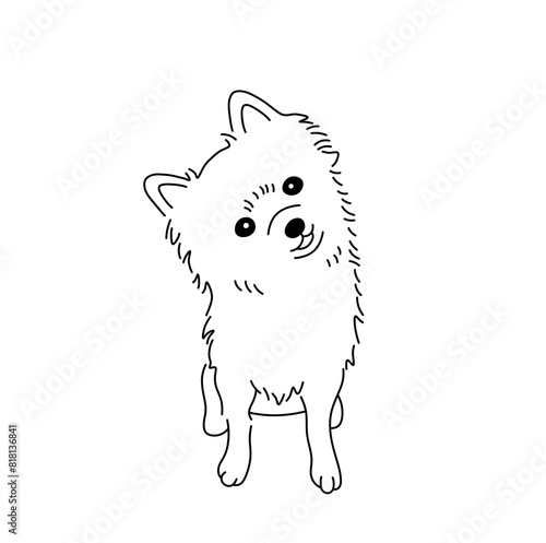 Vector isolated cute spitz dog tattoo colorless black and white contour line easy drawing