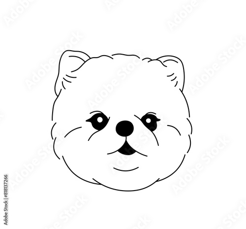 Vector isolated spitz dog head portrait tattoo colorless black and white contour line easy drawing