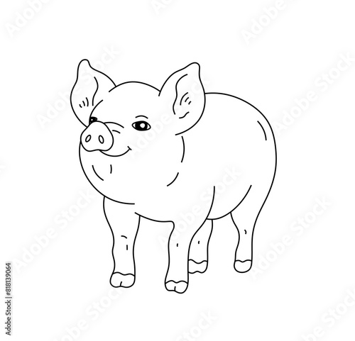 Vector isolated one single funny pig pigles colorless black and white contour line easy drawing