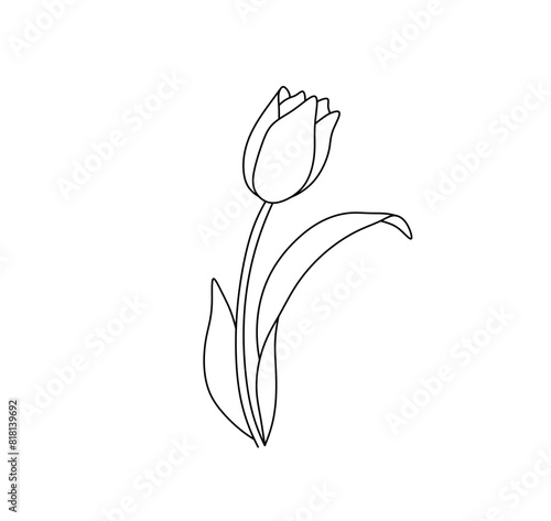 Vector isolated one single simple flower tulip with leaves  colorless black and white contour line easy drawing