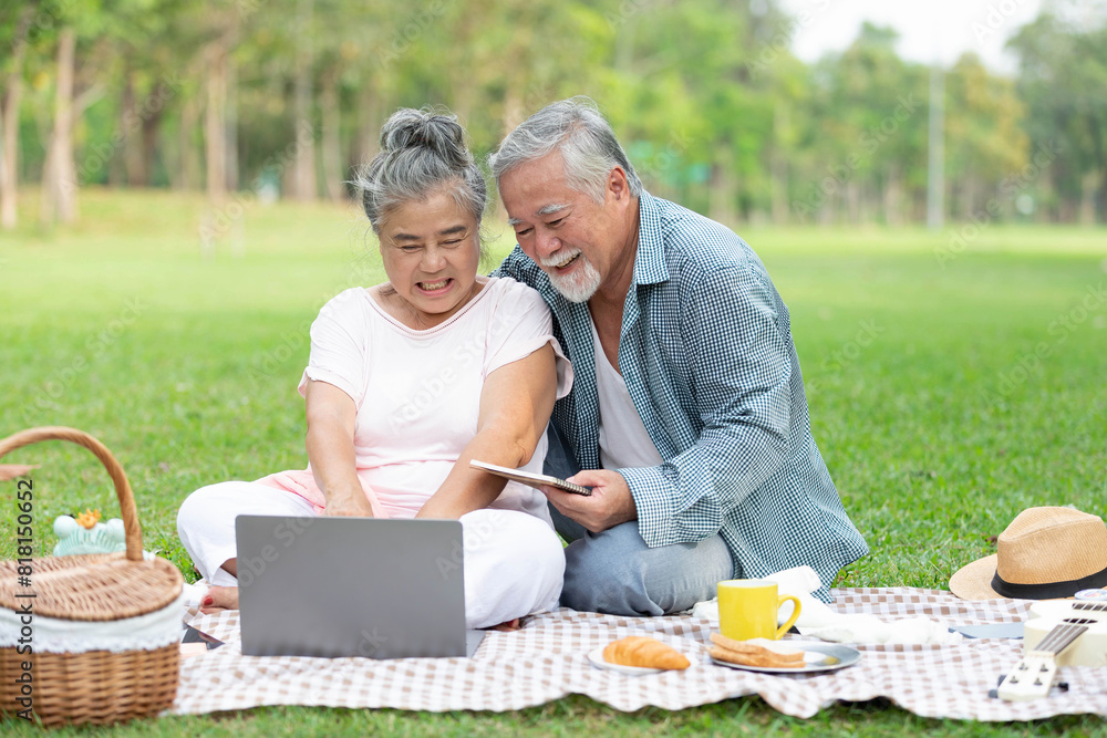 senior couple have a picnic and working with laptop computer in the park senior couple have a picnic and working with laptop computer in the park