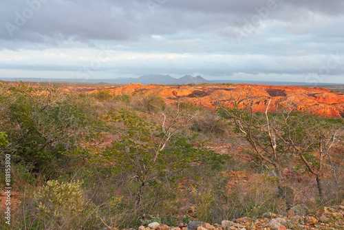 The Lear's Macaw Reserve, Brazil, just after dawn when the macaws leave their roost. The parrots roost in the sandstone gorge.