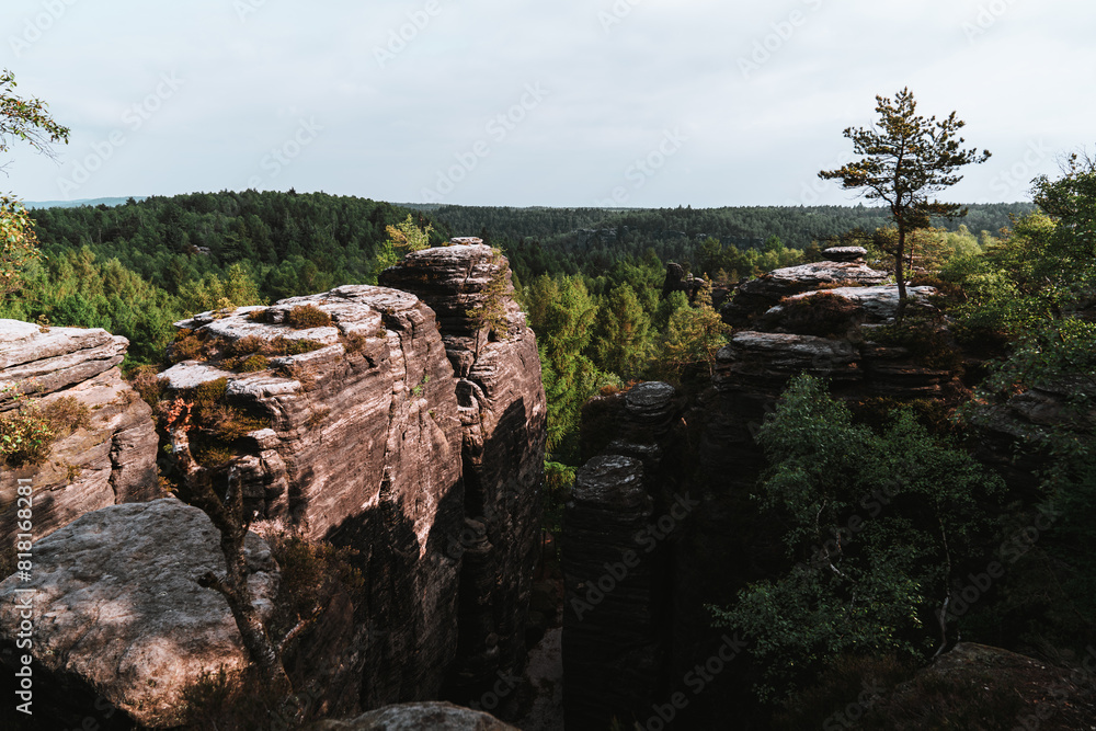 Landscape with sandstone cliffs in Czech Republic.