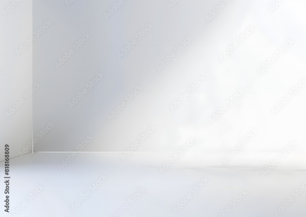 white and gray studio background
white and gray studio background