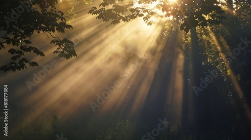 The early morning sun casting tall ethereal columns of light towards the heavens.