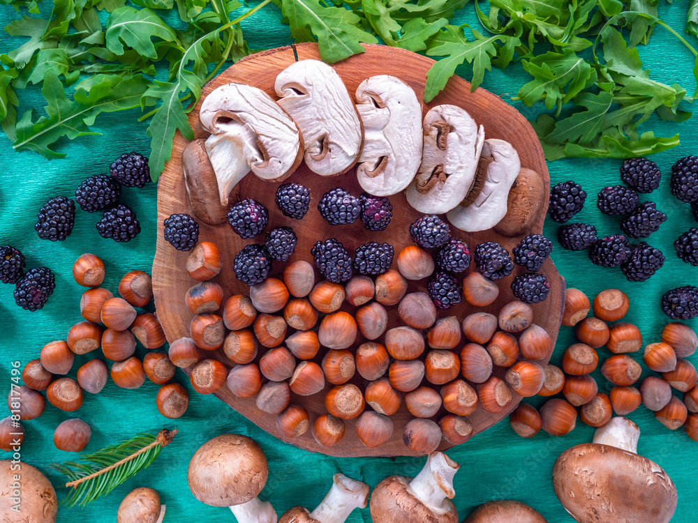 Healthy autumn food selection: white sliced mushrooms, shelled hazelnuts, arugula rocket salad, fresh blackberries and tiny fir branch on green background.