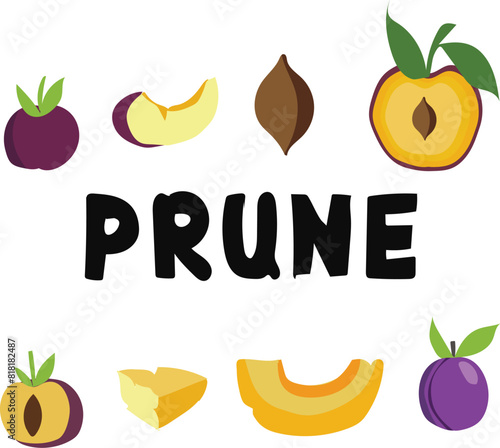 prune set prunes vector