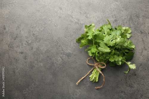 Bunch of fresh coriander on gray textured table, top view. Space for text