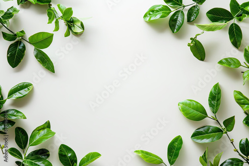 Green plant with leaves on white background, perfect for botanical designs, nature concepts, health and wellness graphics, or environmental themes.