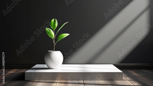  A white vase with a green plant on a white stand, situated on a weathered wooden floor, in a dimly lit room